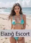 Elazığ Tek Seanslık Escort Bayan - Elazığ uygun profilli escort